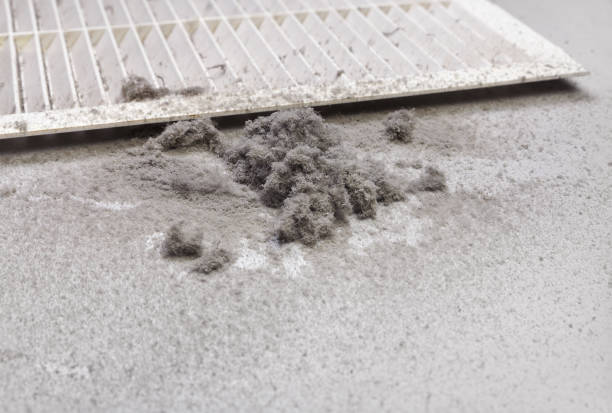 Best Affordable Duct Cleaning Services  in Hokendauqua, PA